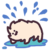 Cat-splash