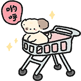cheesee可爱星球-来喽