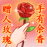 中老年2.0-玫瑰