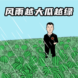 华强买瓜第一弹-风大瓜绿