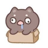 可爱的猫猫萌-呆