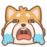 哭泣