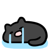 小黑猫-哭泣