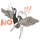 屁股鸟-no