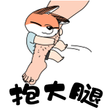 废柴狐阿桔-抱大腿