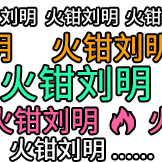 弹幕护体-火钳刘明