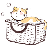 心情日记-猫咪