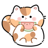 猫咪团团-吃瓜