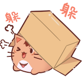 猫灵相册-猫起来