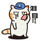 猫猫工作日-泪目