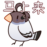 白铃表情包-马上来