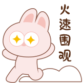 神经兔日常-围观