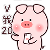 笨笨猪-V20