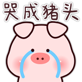 笨笨猪-哭成猪头